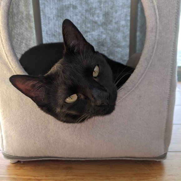 Meet your Posher, R. - Picture 11 of 11